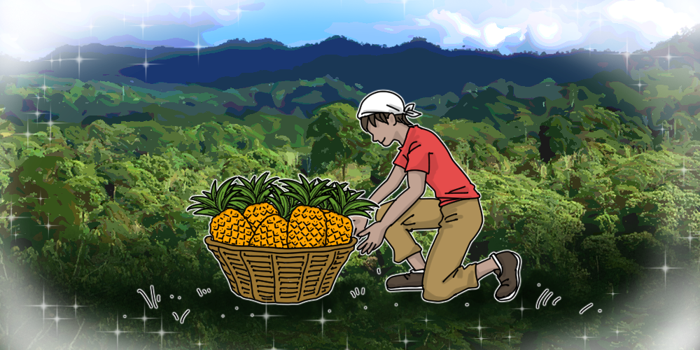 熱帯林の恵み